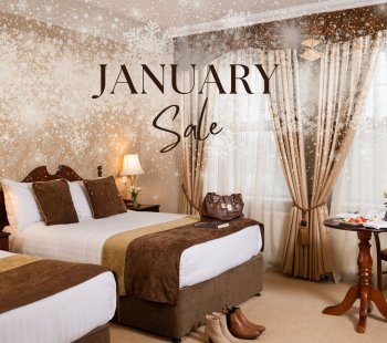 January SALE